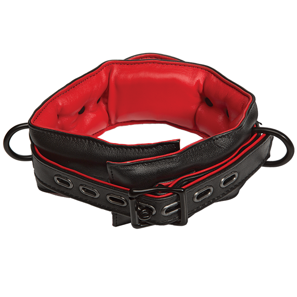 Kink Leather Handler's Collar Black-red