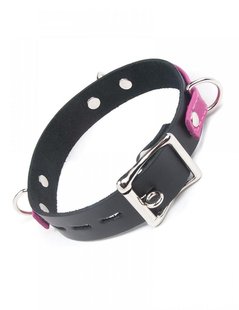 Joanna Angel Locking Buckle Collar