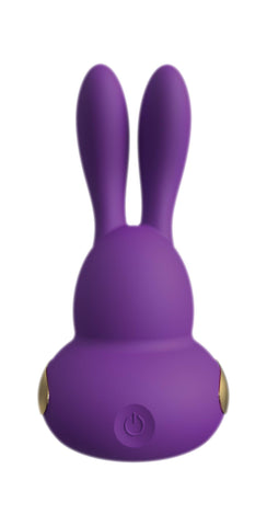 Chari Purple Vibrator (net)