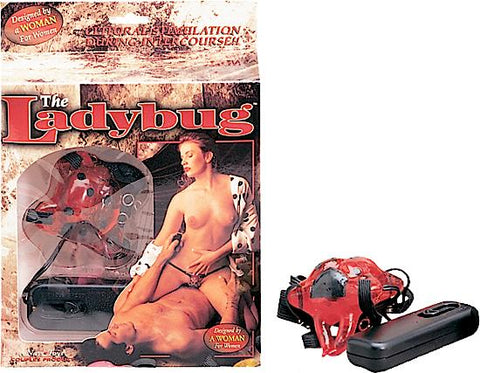 Lady Bug-red