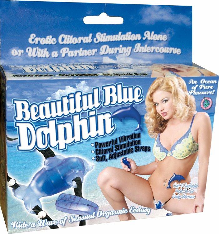 Beautiful Blue Dolphin