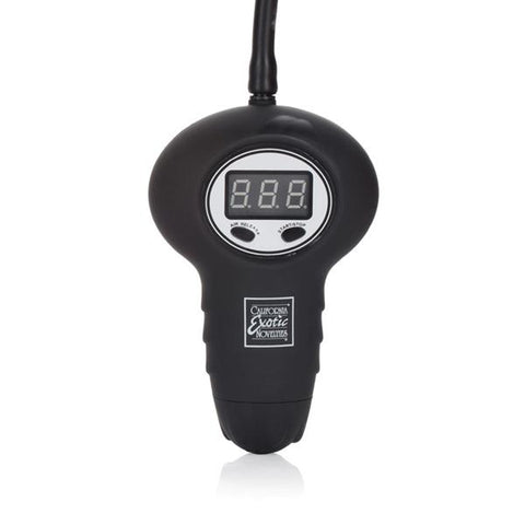 Apollo Automatic Head Pump Blue