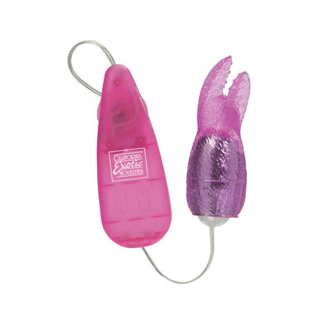Hi Intensity Snow Bunny Pink