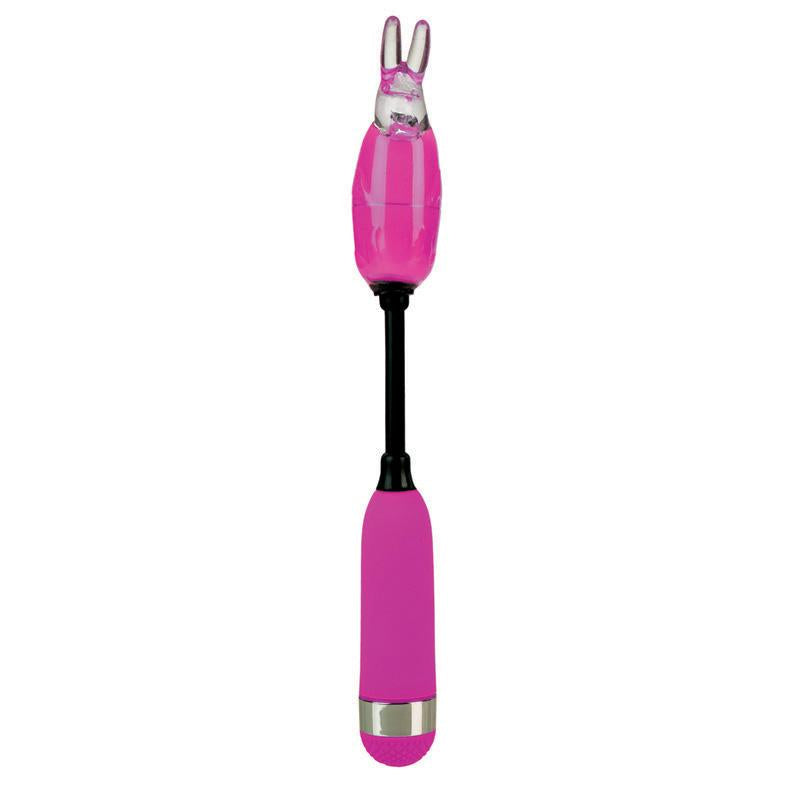 Shanes World Campus Buzz Purple