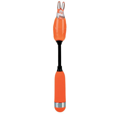 Shanes World Campus Buzz Orange